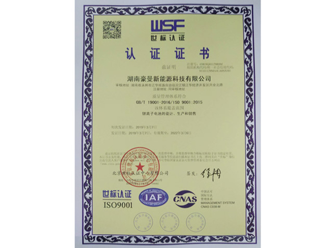 World Standard Certificate